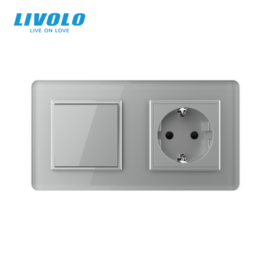 Одноклавишный выключатель с розеткой Livolo