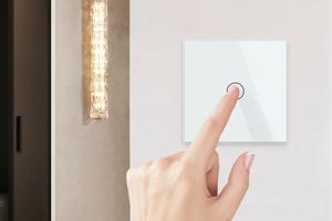 Is it possible to use Livolo switches outdoors?