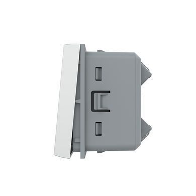Mechanical 1 gang reset function switch module Livolo