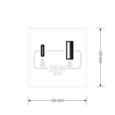 Механізм розетка USB-A та USB-C з Power Delivery 36W Livolo