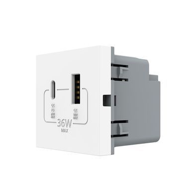 Механізм розетка USB-A та USB-C з Power Delivery 36W Livolo