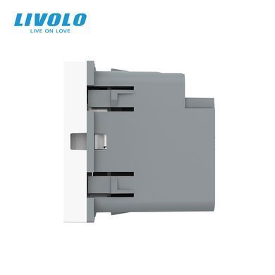 Механізм розетка USB-A та USB-C з Power Delivery 36W Livolo