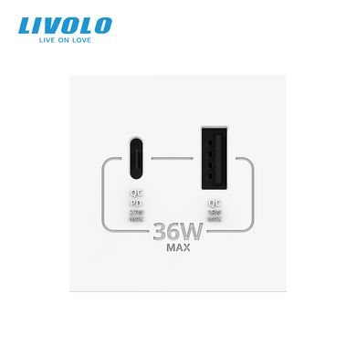 Механізм розетка USB-A та USB-C 36W Livolo