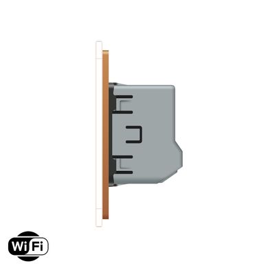Умный сенсорный Wi-Fi выключатель 2 сенсора Livolo