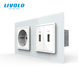 LIVOLO Socket with Grounding and Dual USB Ports, White, Wall-mounted Designer, Glass Frame