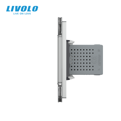 LIVOLO Socket with Grounding and Dual USB Ports, Gray, Wall-mounted Designer, Glass Frame