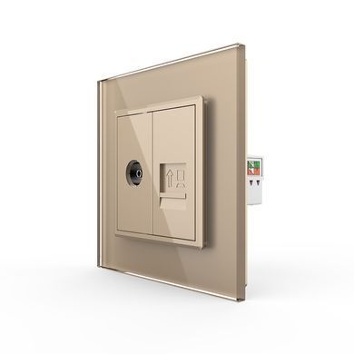 Розетка комп'ютерна RJ-45 і ТБ розетка Livolo