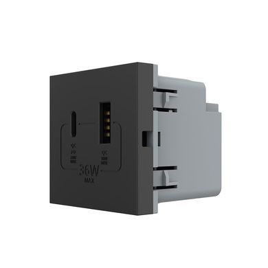 Механізм розетка USB-A та USB-C з Power Delivery 36W Livolo