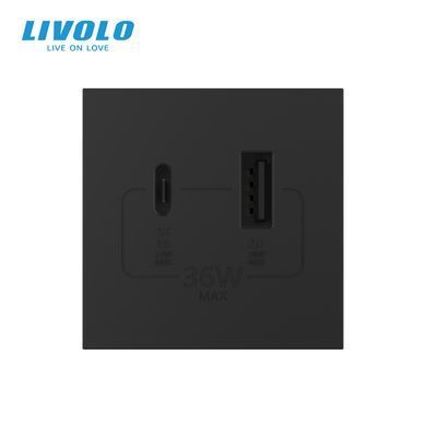 Механізм розетка USB-A та USB-C з Power Delivery 36W Livolo