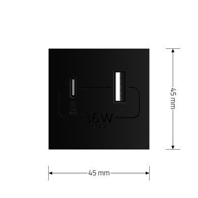 Механізм розетка USB-A та USB-C з Power Delivery 36W Livolo
