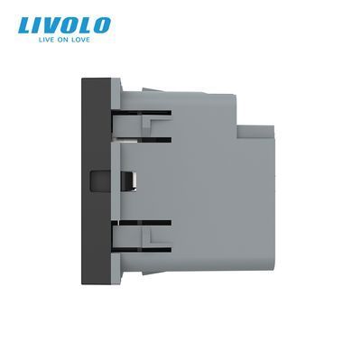 Механізм розетка USB-A та USB-C з Power Delivery 36W Livolo