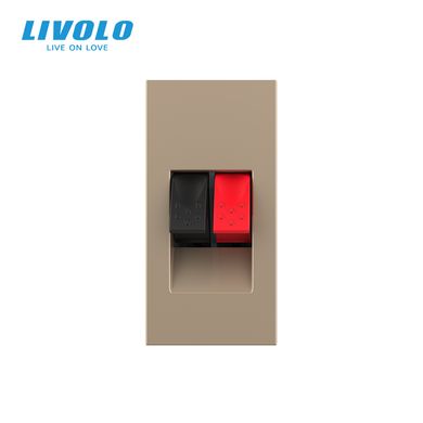 HI-Fi sound socket module Livolo