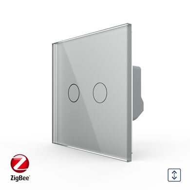 Smart ZigBee curtain touch switch 2 gang Livolo