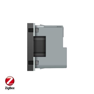 Smart Zigbee wall power socket module Livolo