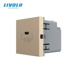 USB-C socket 45W module Livolo