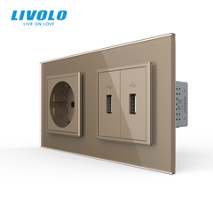 Розетка с заземлением с 2 USB розетками Livolo