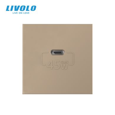 Механізм розетка USB Type-C з блоком живлення 45W Livolo
