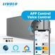 Умный сенсорный выключатель LIVOLO EC, 2 сенсора (1-1) + розетка с USB-C 18 Вт, 16 А, с заземлением