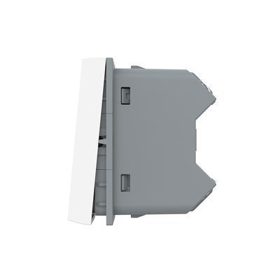 Mechanical 2 gang reset function switch module Livolo