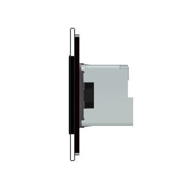 Умная розетка ZigBee с заземлением Livolo