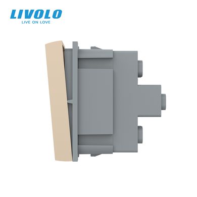 Mechanical switch 2 gang module Livolo