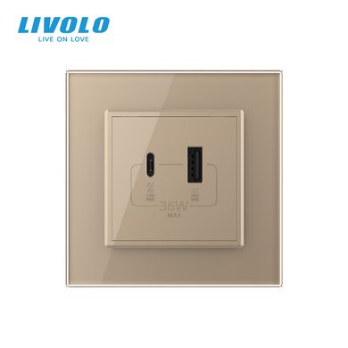 USB-A and USB-C 36W socket Livolo