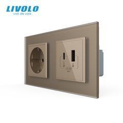 Розетка LIVOLO із заземленням та USB-A + USB-C 36 Вт, 16 А, зі скляною рамкою