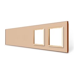 Quadruple blank panel X Gang 2 Frame glass (Х-Х-Х-0-0) Livolo