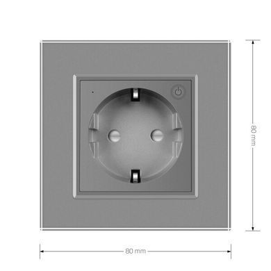 Розумна розетка ZigBee з заземленням Livolo