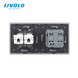 LIVOLO Socket with Dual RJ-45 Internet Ports, Gray, Wall-mounted Designer, Glass Frame