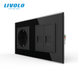 LIVOLO Socket with Dual RJ-45 Internet Ports, Black, Wall-mounted Designer, Glass Frame