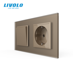 Одноклавишный выключатель с розеткой Livolo
