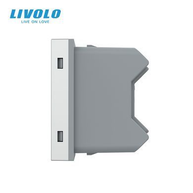 Механизм универсальная розетка 2 в 1 Livolo