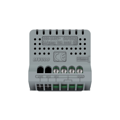 Smart EC touch switch 2 gang module Livolo
