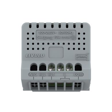 Smart EC touch dimmer switch module Livolo