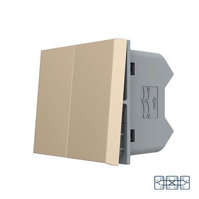 Mechanical cross switch 2 gang module Livolo