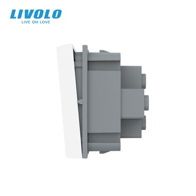 Mechanical switch 1 gang module Livolo