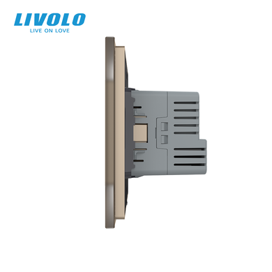 Электрическая розетка с USB Type-C Power Delivery 18 Вт Livolo
