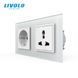 LIVOLO double wall socket with grounded and universal outlets, white matte glass frame