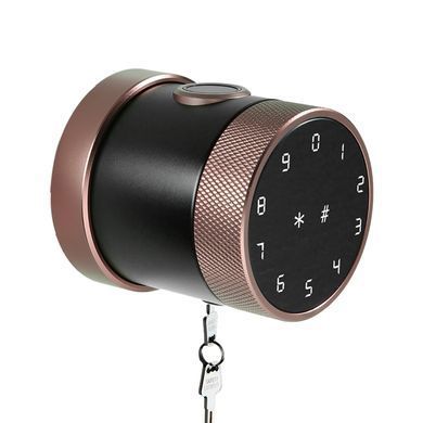 Smart fingerprint lock Livolo