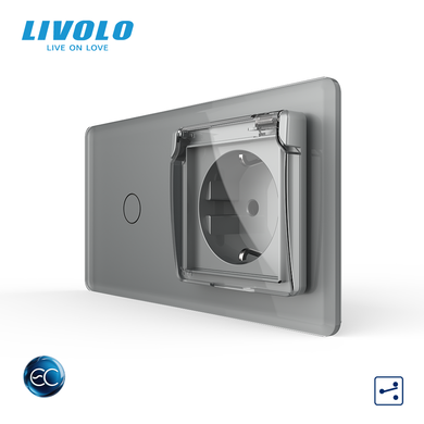 Smart touch switch LIVOLO with socket IP44 cover gray 2.5D 16A 230V with grounding shutter glass