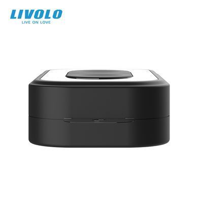 Пульт дистанційного керування LIVOLO EC, 2 кнопки