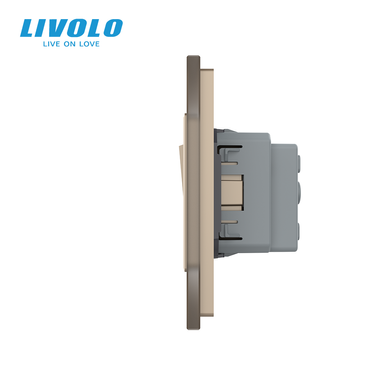 Двухклавишный выключатель с розеткой Livolo