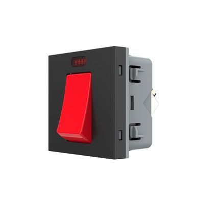 Mechanical мain switch 20A 1 gang module Livolo