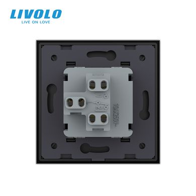 Mechanical switch 1 gang 2 way Livolo