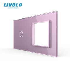 1 Gang & 1 Frame panel Livolo