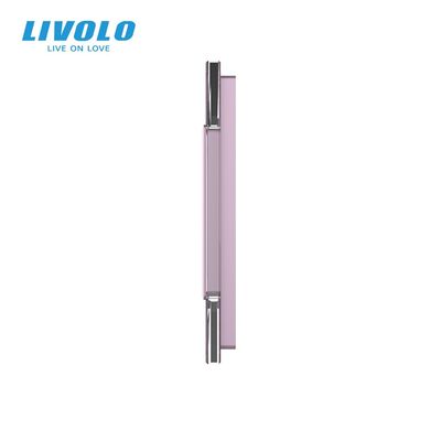 Сенсорная панель комбинированная для выключателя 1 сенсор 1 розетка Livolo