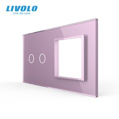 2 Gang & 1 Frame panel Livolo