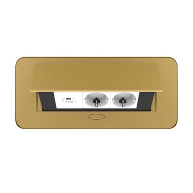 Double desktop socket with USB-C golden Livolo