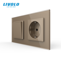 Одноклавишный выключатель с розеткой Livolo